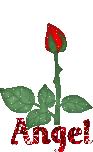  (93x152, 48Kb)