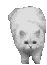  (47x65, 3Kb)