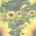  (120x119, 32Kb)