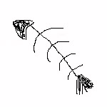  (150x150, 19Kb)