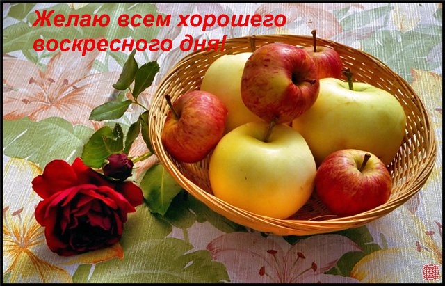 http://img1.liveinternet.ru/images/attach/b/3/28/828/28828374_28087764_16760679_8137423_horoshego_voskresnogo_dnya.jpg