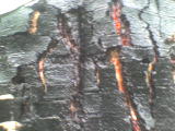  (160x120, 12Kb)