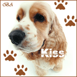 22670266_spanielka copy (150x150, 15Kb)