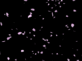  (160x120, 52Kb)