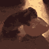 (100x100, 35Kb)