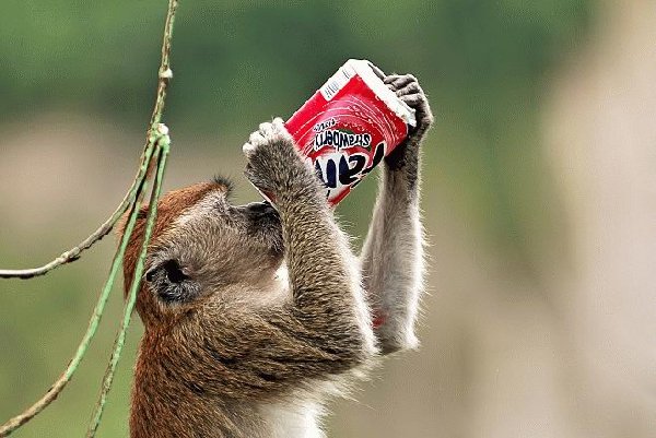  (600x401, 57Kb)