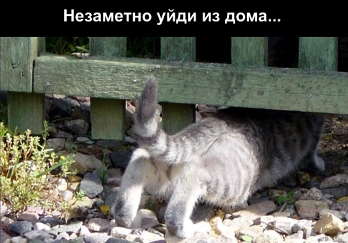 http://img1.liveinternet.ru/images/attach/b/3/41/276/41276575_262109.jpg