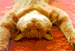  (150x102, 33Kb)