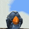 5 (100x100, 39Kb)