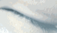  (200x115, 762Kb)