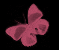  (193x164, 6Kb)