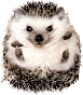 1193508495_3662uh01 (77x88, 4Kb)