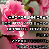  (100x100, 8Kb)