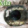  (120x120, 31Kb)