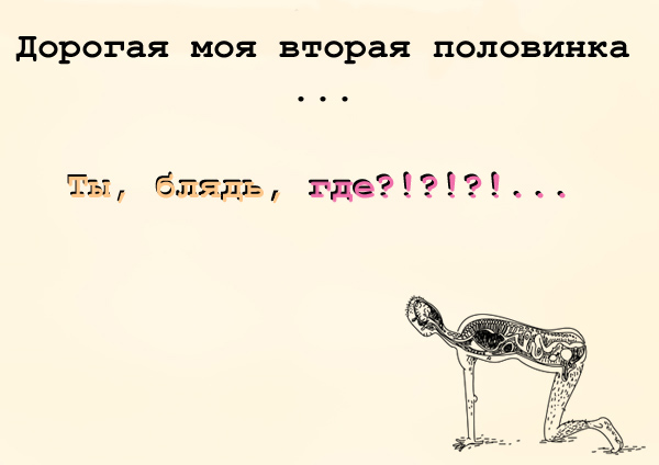 (600x424, 75Kb)