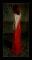  (65x120, 2Kb)