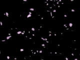 bottombg (160x120, 41Kb)