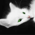 1935007_6469094 (150x150, 25Kb)