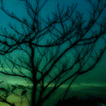  (150x150, 113Kb)