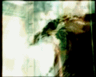  (140x112, 271Kb)