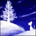  (120x120, 13Kb)
