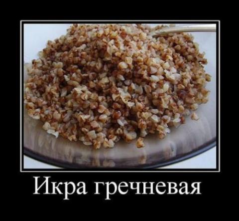 3453311_20112611082536 (480x443, 31Kb)