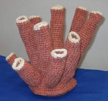 free-crochet-seashell-and-coral-patterns-L-iiQoQX (360x336, 52Kb)