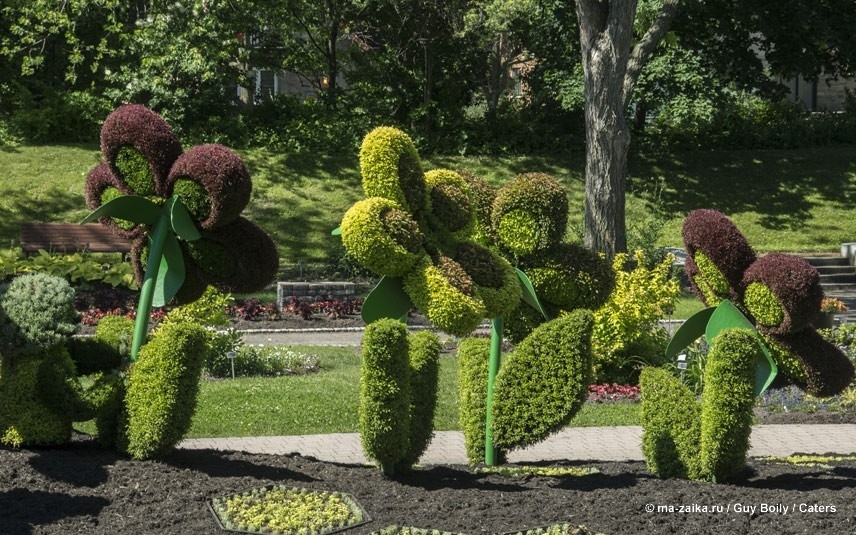 Зелёные скульптуры на шоу в Канаде (Green-fingered sculptures go on show in Canada)