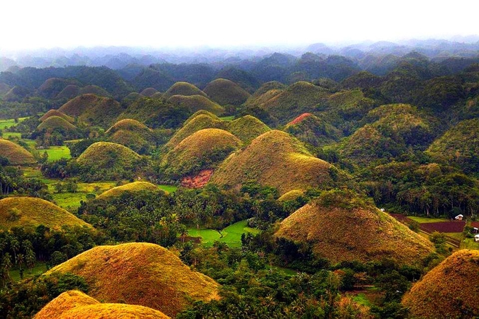 bohol-chocolates (700x465, 289Kb)