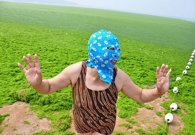 (680x470, 236Kb)