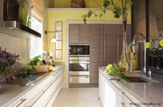 cheerful-summer-interiors-green-and-yellow-kitchen-desig_021 (554x363, 113Kb)