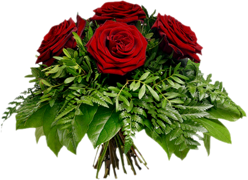 Bouquets of Red Roses   -  " PixelBrush -   .  , , , , , 