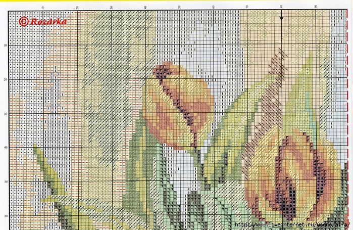 aifa (32) (700x455, 465Kb)