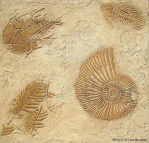 2Fossils_3 (490x470, 256Kb)