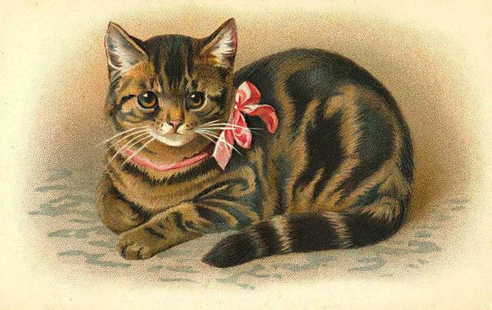 2795685_VintageCats84 (700x441, 70Kb)