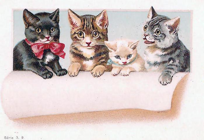 2795685_VintageCats94 (700x479, 52Kb)