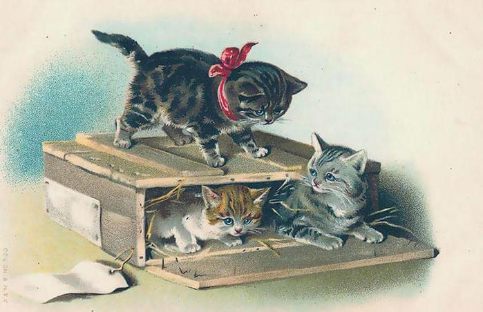 2795685_VintageCats113 (700x452, 53Kb)