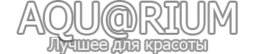 logo 1 (366x79, 10Kb)