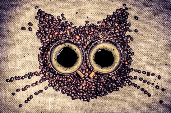 РЕЦЕПТЫ ПРИГОТОВЛЕНИЯ КОФЕ ПО ЗНАКАМ ЗОДИАКА 103447935_coffeecat