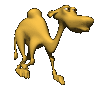 camel3 (100x90, 29Kb)