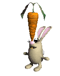 ani-rabbit_carrot (125x156, 19Kb)