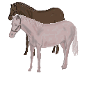 Horse03 (125x125, 55Kb)