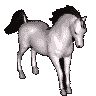 Horse10 (96x96, 13Kb)