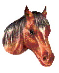 Horse14 (121x149, 9Kb)