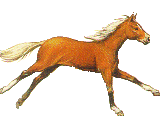 Horse25 (160x120, 25Kb)