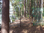 Превью 5 (700x525, 538Kb)