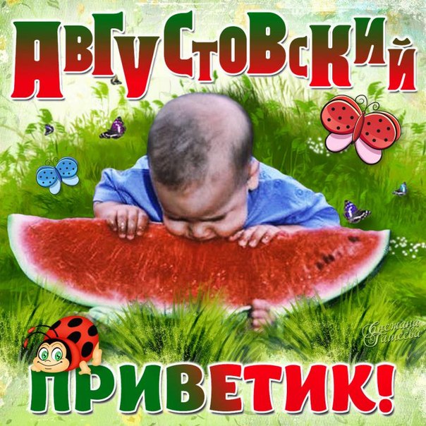 август привет картинки