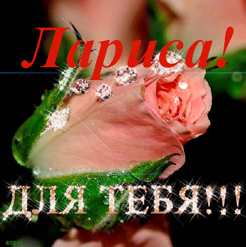 Поздравления с днем рождения невестке Поздравления с днем рождения начальнику в прозе
