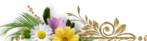  5 (700x194, 189Kb)