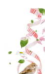  60 (424x700, 199Kb)